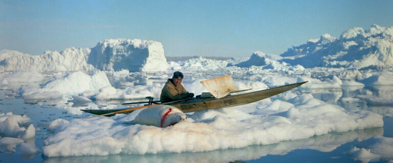 DOK.FEST – HEART OF THE SEAL