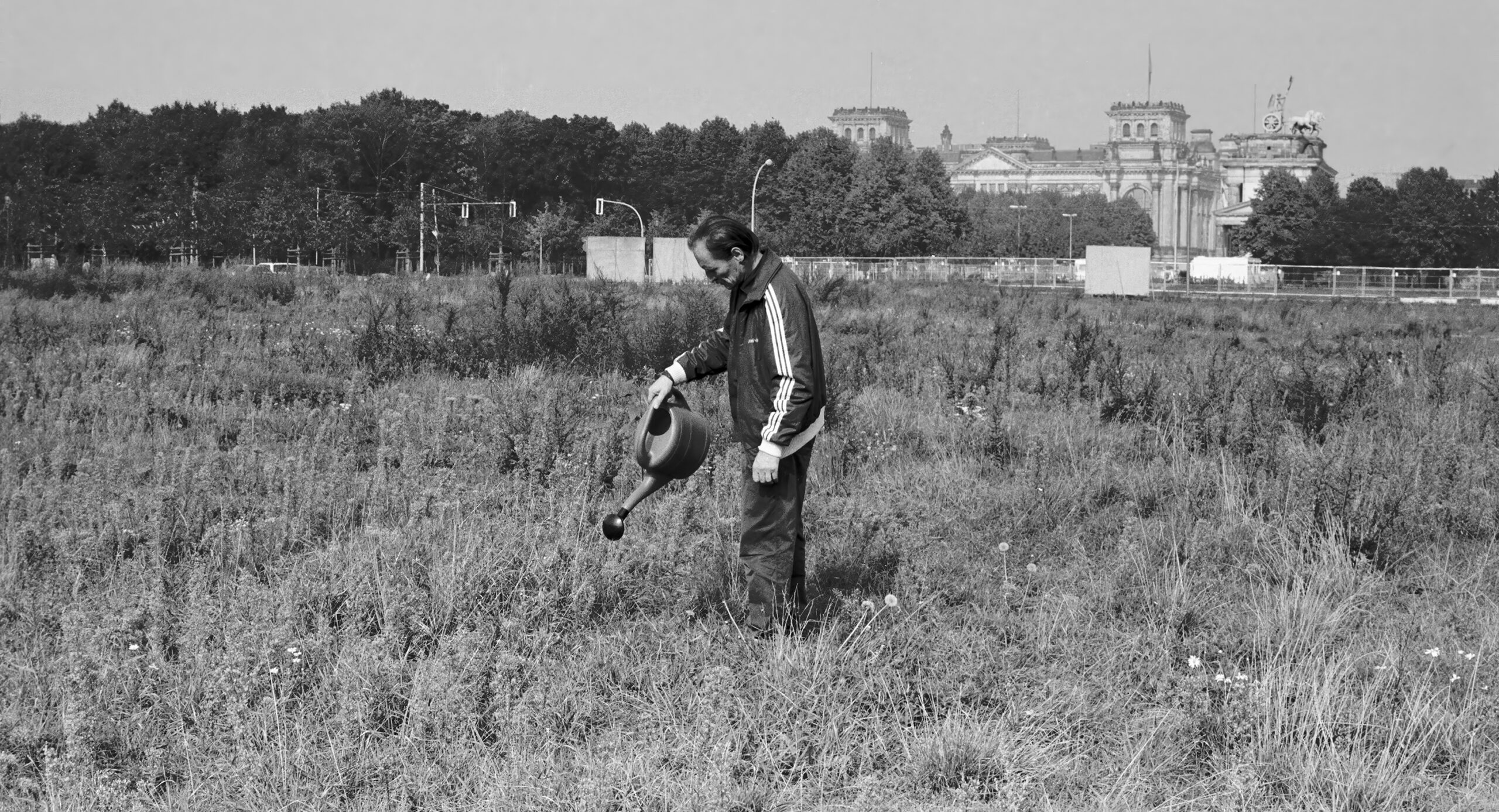 Mann gießt Pflanzen auf städtischer Brachfläche