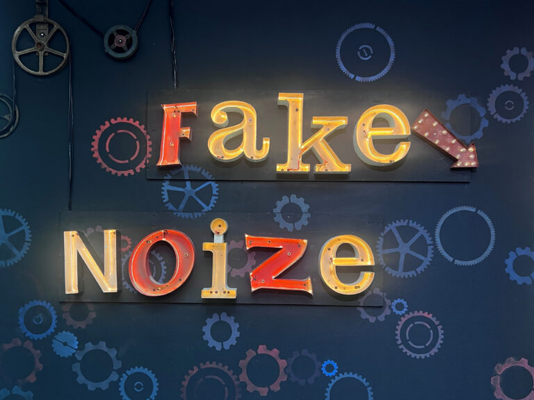 Fake Noise, True Image – Synergien in der Kunst